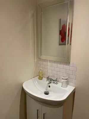 a bathroom with a white sink and a mirror at Wrens nest in Newton Stewart