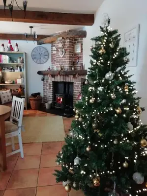a christmas tree in a living room with a fireplace at The Hayloft. Entire Barn Conversion near Keswick in Applethwaite