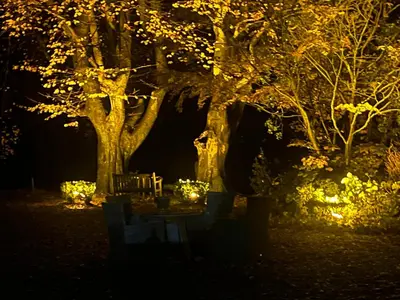 a park at night with two trees and a bench at The Grasmere Hotel in Grasmere