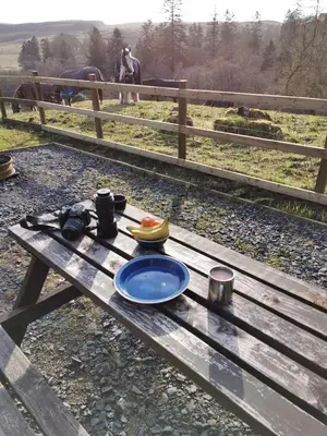 a wooden picnic table with a plate of fruit on it at Glamping Pod 2 Magical Craigengillan Estate in Dalmellington