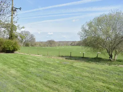 a field of green grass with sheep in the distance at Rushgill House in Sebergham